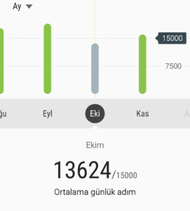 ekim2016
